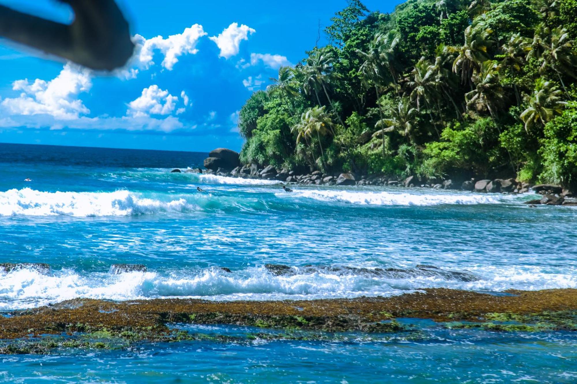 Surf Sea Breeze Hotell Mirissa Eksteriør bilde