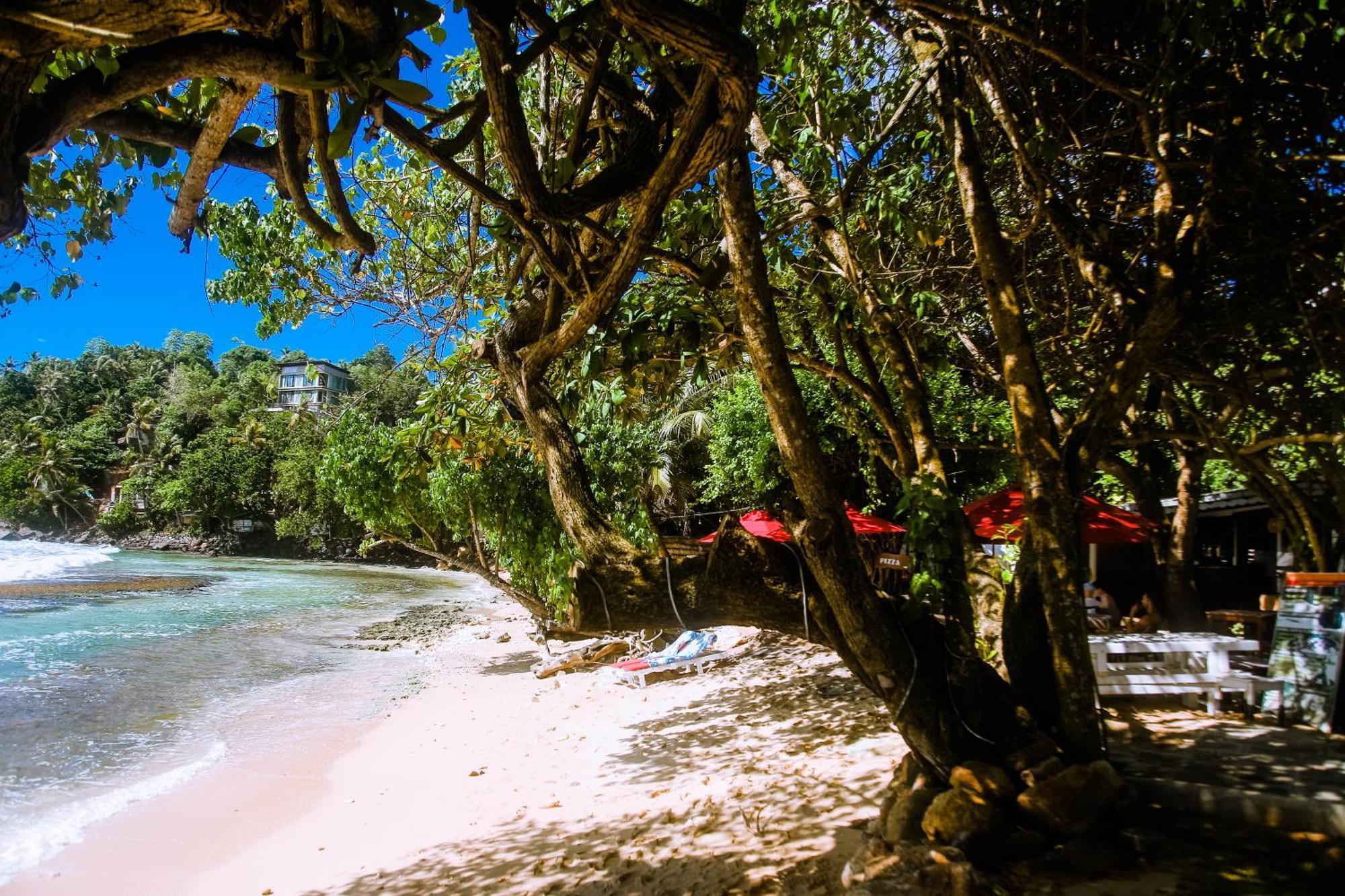 Surf Sea Breeze Hotell Mirissa Eksteriør bilde