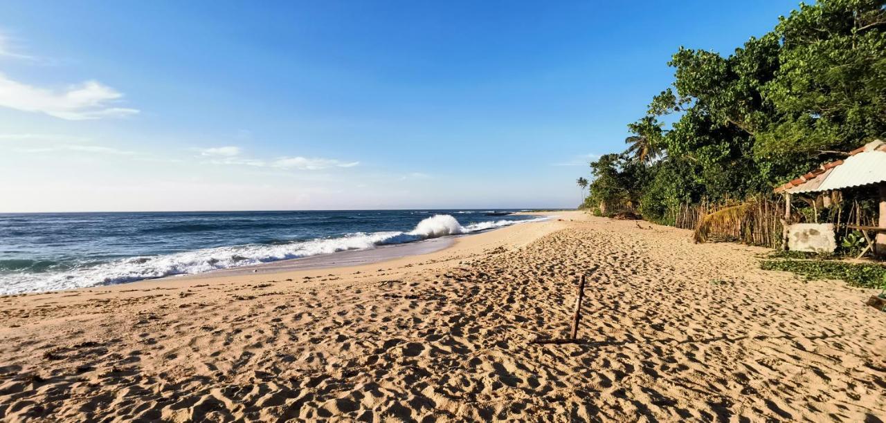 Surf Sea Breeze Hotell Mirissa Eksteriør bilde